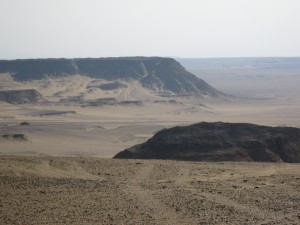 Beauty of the Desert